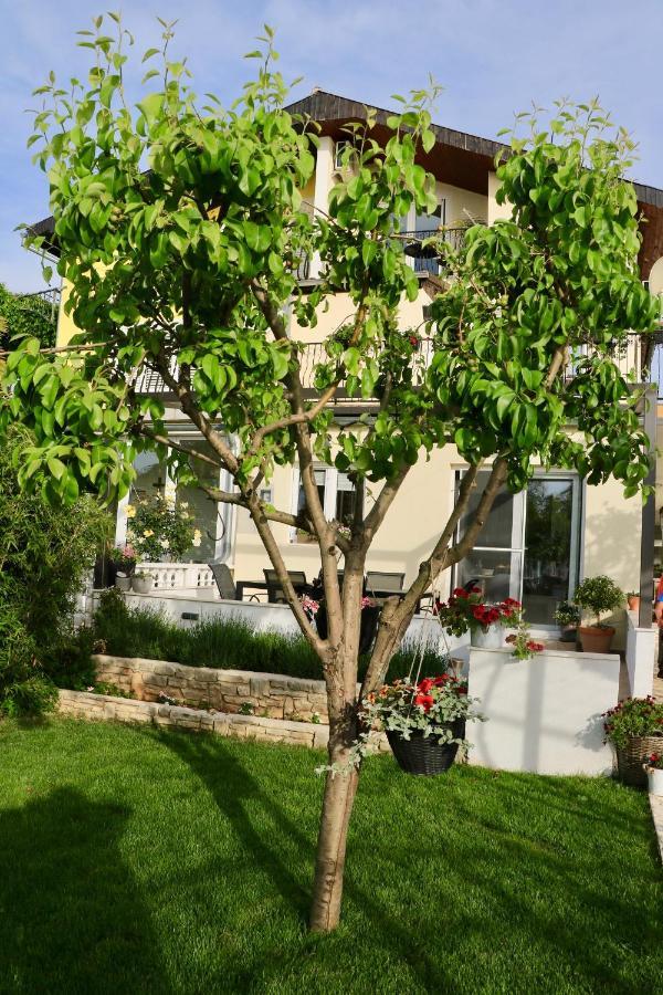 שיבניק Apartments Radman מראה חיצוני תמונה